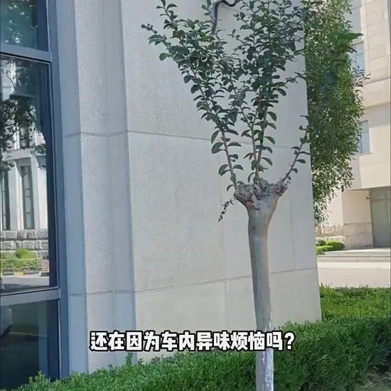 【香百川】正版 三麗鷗 車用香氛 香水 送禮 庫洛米 KT貓 商品影片
