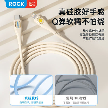 【洛克空間】現貨 哆啦A夢 雙頭快充線 小叮噹 充電線 數據線 蘋果 type-c USB 快充 商品圖片 2